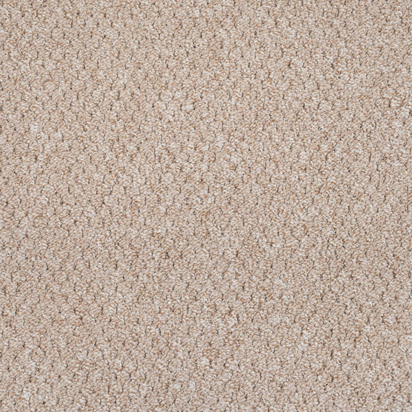 Beige 5913