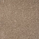 Brown Beige Quartz Carpet far