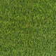 Ramone 37mm Artificial Grass