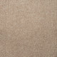 Warm Beige Quartz Heathers Carpet far