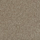 Acacia 34 Lusso 50oz Heathers Invictus Carpet far