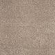 Caramel Brown 40 Exemplar Invictus Carpet far