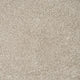 Chalk Beige 39 Exemplar Invictus Carpet