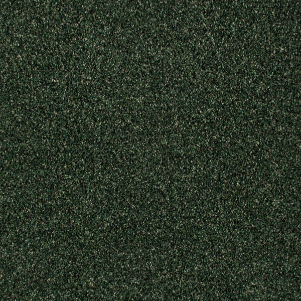 Forest Green Venice Saxony Carpet far