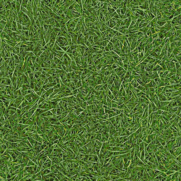 Grass 25