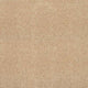 Pale Umber 35 Gemini 70oz Invictus Carpet