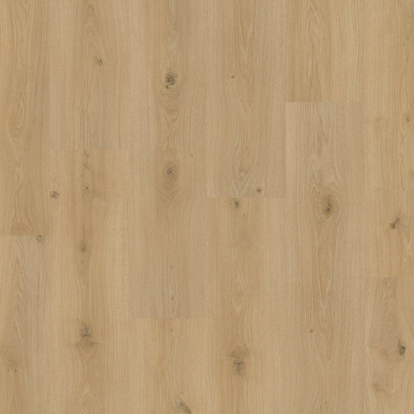 Trianon Oak 61064