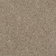 Acacia 34 Astoria 70oz Heathers Invictus Carpet