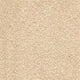 Almond 31 iSense Grandeur Twist Carpet