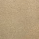 Avon Quayside Twist 60oz Carpet