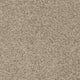 Barbados 35 Elegance 56oz Invictus Gaia Carpet