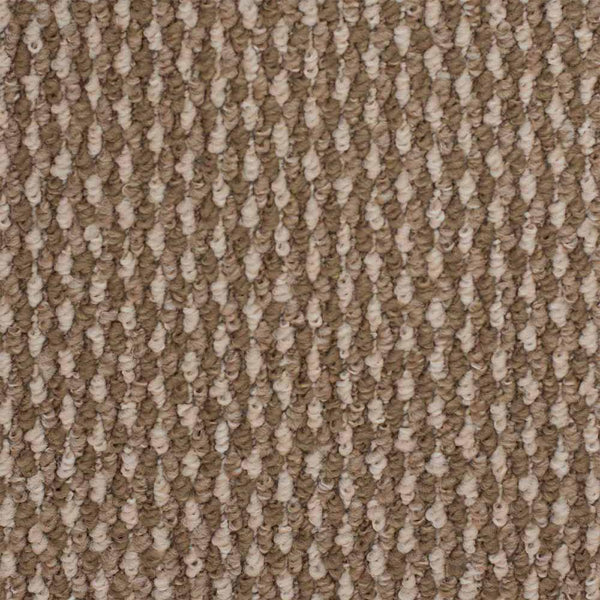 Beige 5513