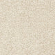 Blanched Almond 30 Elegance Invictus Gaia Carpet