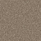 Bulrush Ashfield 40oz Twist Carpet