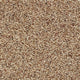 Cinnamon Meadow Saxony Carpet