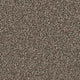 Clove Ashfield 40oz Twist Carpet