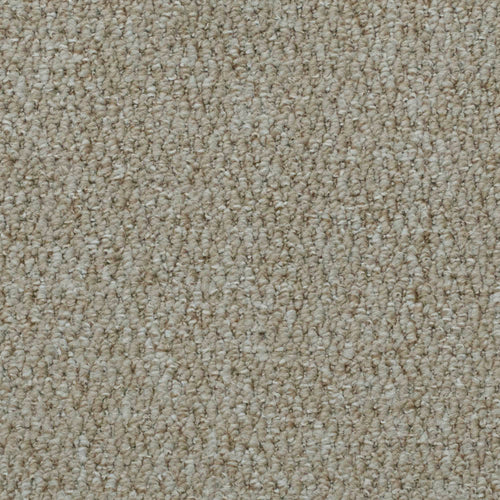 Dark Beige 4314 Cumbria Loop Feltback Carpet