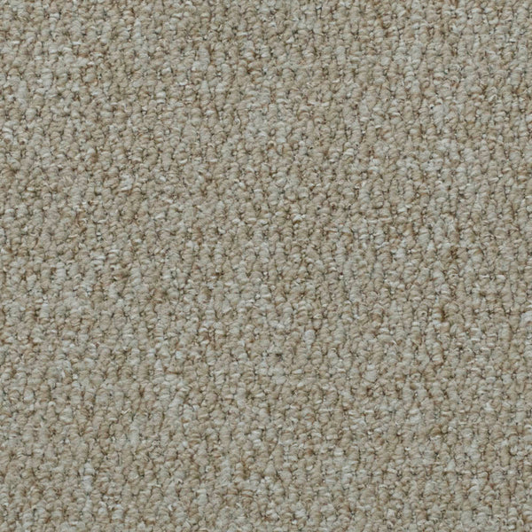 Dark Beige 4314 Cumbria Loop Feltback Carpet