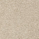 Doeskin 33 Elegance 56oz Invictus Gaia Carpet