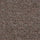 Beige Brown 1419