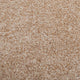 Oatmeal 33 Rural Heathers Deluxe Carpet