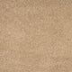 Pale Umber 35 Leo 50oz Invictus Carpet