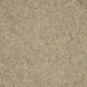 Pine Nut Sherwood Heathers 55oz Twist Carpet