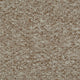 Rich Beige Home Comforts Carpet far