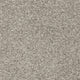 Safari 49 Elegance 56oz Invictus Gaia Carpet