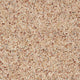 Sand Storm Meadow Saxony Carpet