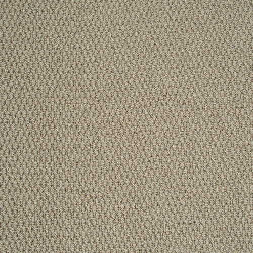 Sandy Beige Lakeside Loop Carpet