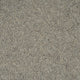 Silver Fox Sherwood Heathers Twist Carpet