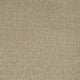 Stone Beige Indulgence Heathers Carpet