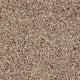 Treasure Island Meadow Saxony Carpet